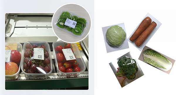 预制菜蔬菜全自动包装机包装样品